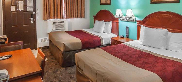 德拉姆赫勒套房伊克诺旅馆(Econo Lodge Inn & Suites Drumheller)图片