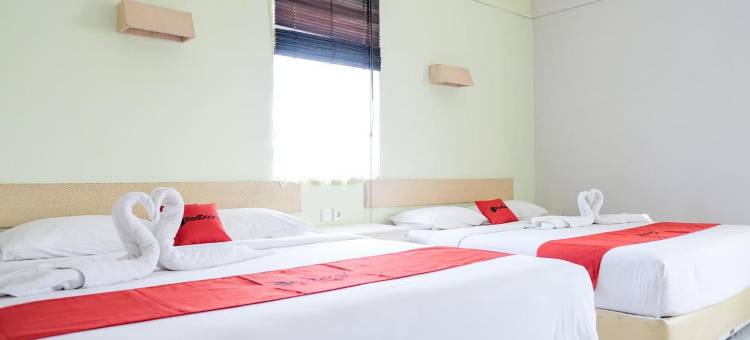 红多兹Plus@沙努尔日出酒店(RedDoorz Plus @ Sunrise Hotel Sanur)图片