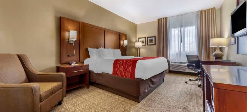 特斯柏罗-肯特舒适套房酒店(Comfort Inn & Suites Streetsboro - Kent)图片