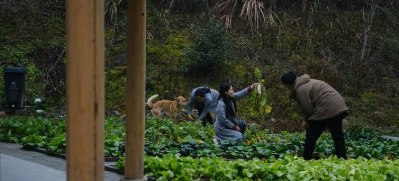 梵小若客栈(西周段分店)图片