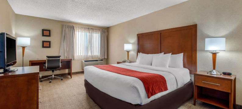 丹佛东南区舒适酒店(Comfort Inn Denver Southeast Area)图片