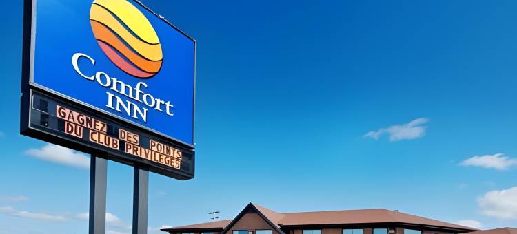 舒适酒店(Comfort Inn)图片