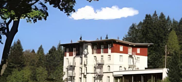 沃德安诺柴帕斯酒店(Das Waldhotel - Genuss & Wellness am Notschreipass)图片