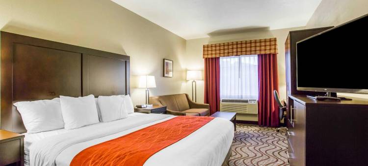 舒适套房酒店(Comfort Inn & Suites)图片