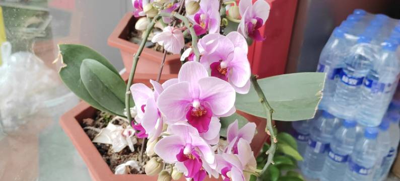 西安中心民宿(山海路分店)图片