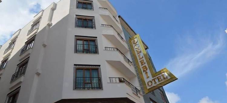 哈桑歇列比酒店(Hasan Celebi Otel)图片