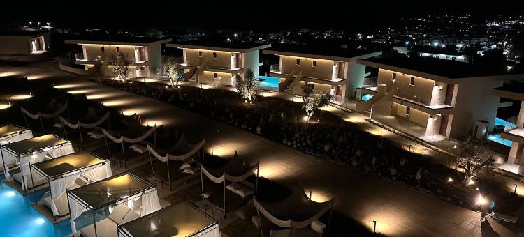 为成人设计的King Jason Zante(King Jason Zante – Designed for Adults)图片