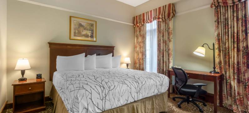 先锋广场贝斯特韦斯特优质酒店(Best Western Plus Pioneer Square Hotel Downtown)图片