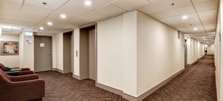 渥太华市区国会山假日酒店(Holiday Inn Ottawa Dwtn - Parliament Hill)图片