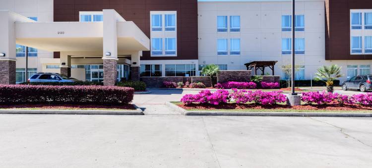 休斯顿国家航空航天局/西布鲁克万豪SpringHill酒店(SpringHill Suites Houston NASA/Seabrook)图片