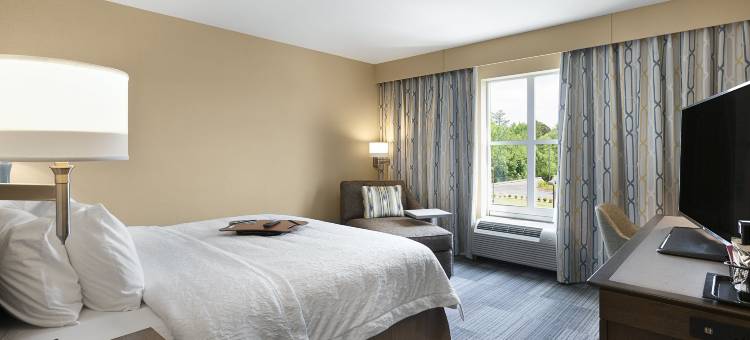 米尔堡欢朋套房酒店(Hampton Inn & Suites Fort Mill)图片