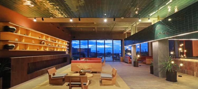 圣米格尔德阿连德阿尔博尔酒店，希尔顿启缤精选(Albor San Miguel de Allende, Tapestry Collection by Hilton)图片