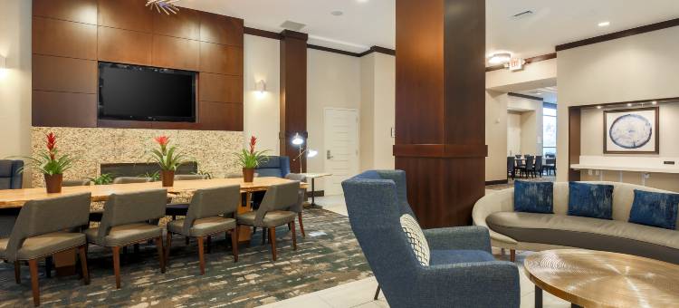 舍尔灵顿希尔顿花园旅馆(Hilton Garden Inn  Arlington Shirlington)图片