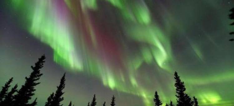 Denali King Suite with Amazing Views图片