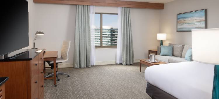 圣彼得堡卡里永希尔顿酒店(Hilton St. Petersburg Carillon Park)图片