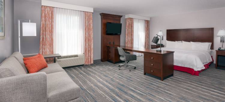 欢朋酒店及套房奥兰多机场@门户村(Hampton Inn & Suites Orlando Airport @ Gateway Village)图片