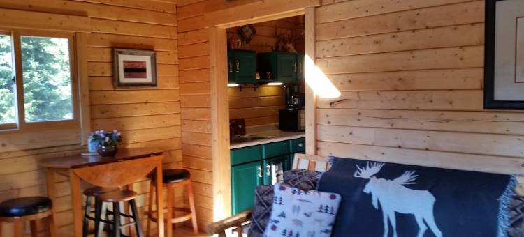 蒙大拿州西北部林地宁静放松温馨木屋 11月特惠!(Cozy Cabin in the Woods of NW Montana, Peaceful & Relaxing! November SPECIALS!)图片