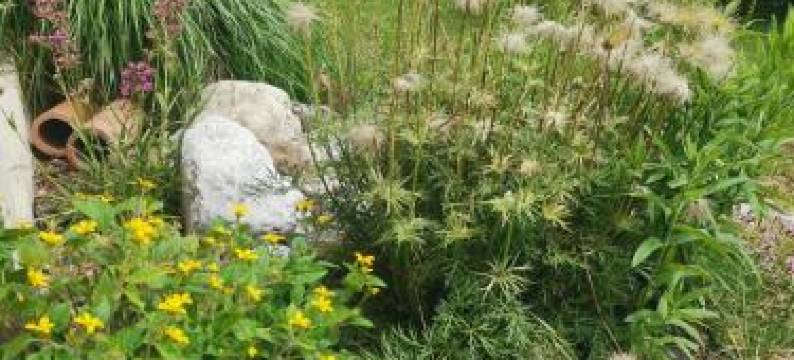 Ruhe am Wald - Zentral Und Worthersee图片