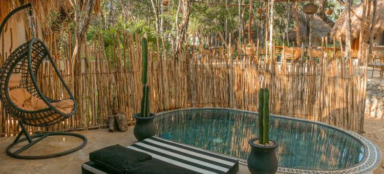 黄色巢穴(The Yellow Nest Tulum)图片