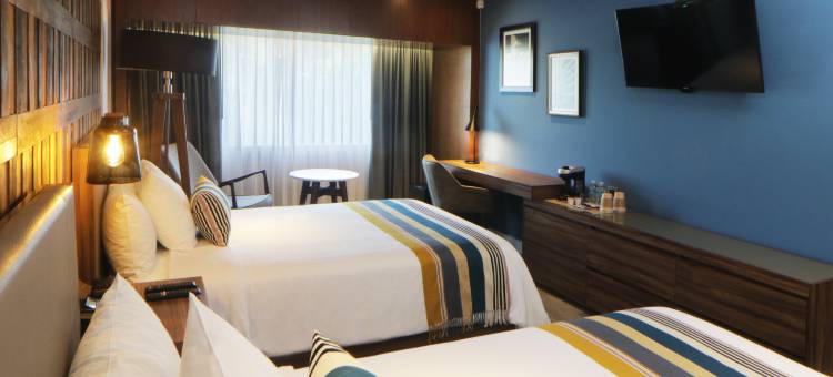 英迪格瓜达拉哈拉博览会酒店，洲际酒店集团(Hotel Indigo Guadalajara Expo)图片