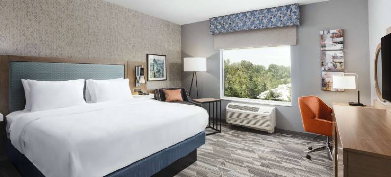 华盛顿州贝灵厄姆机场欢朋套房酒店(Hampton Inn by Hilton Bellingham Airport)图片