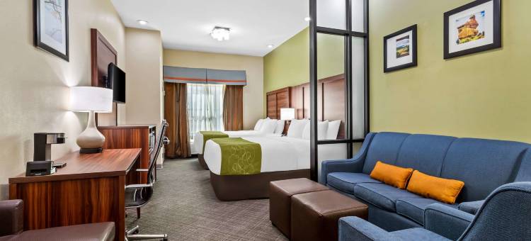 舒适套房酒店(Comfort Suites)图片