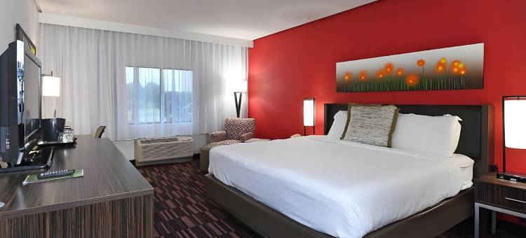 洲际酒店集团欧文拉斯科利纳斯假日酒店(Holiday Inn Irving - Las Colinas)图片