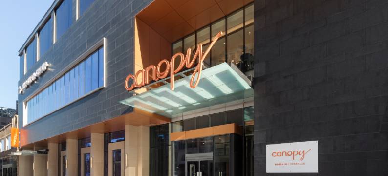 多伦多约克维尔希尔顿嘉悦里酒店(Canopy by Hilton Toronto - Yorkville)图片