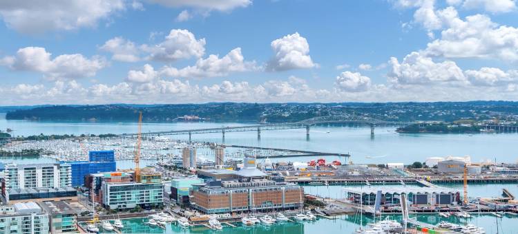 Amazing Harbour, Skytower & Rangitoto观景(Amazing Harbour, Skytower & Rangitoto Views)图片