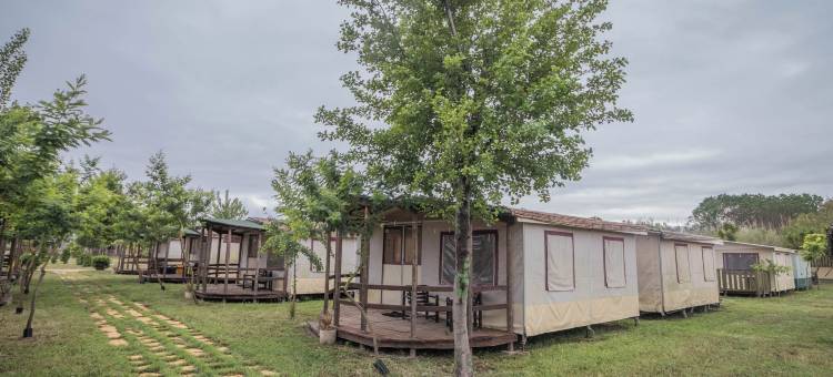 向日葵露营地(Camping Girasole)图片