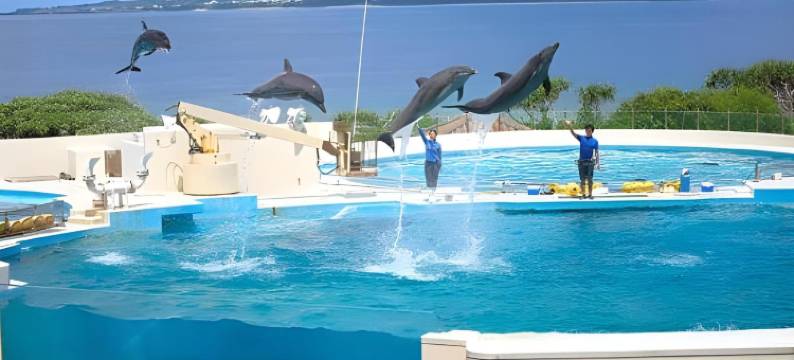 喜璃愈志公寓度假村-恩纳游出来家(Kariyushi Condominium Resort Yuudekiya)图片