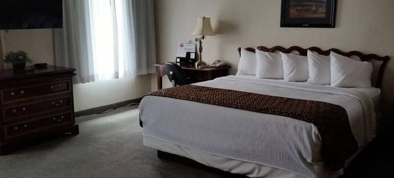 金顶旅馆(Gold Vault Inn)图片