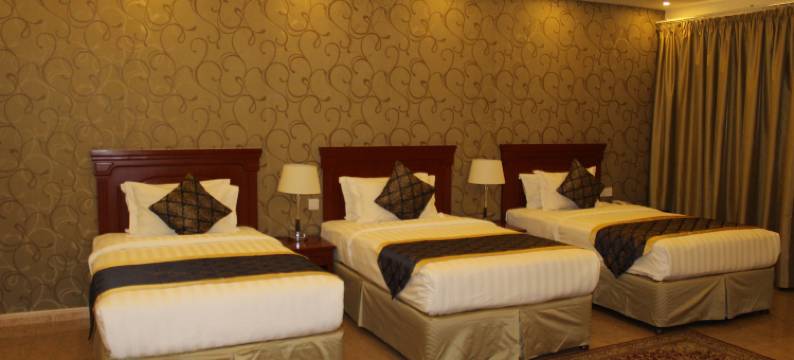 阿尔迪亚酒店(Al Diyar Hotel)图片