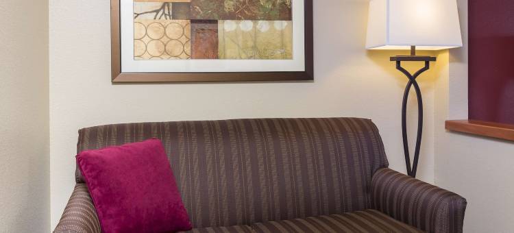 休斯顿斯塔福德欢朋酒店(Hampton Inn Houston-Stafford)图片