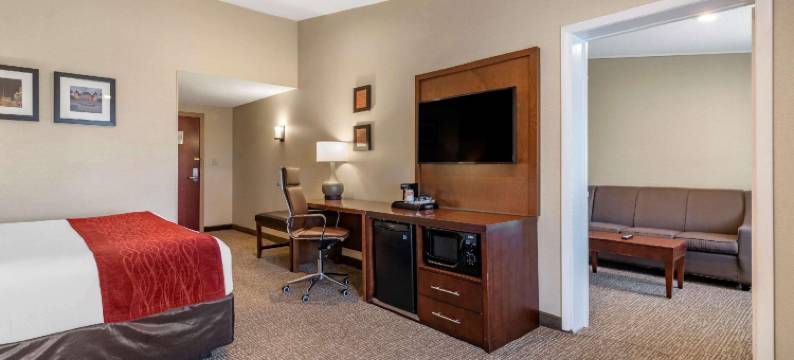 舒适酒店格伦蒙特 - 奥尔巴尼南(Comfort Inn Glenmont - Albany South)图片