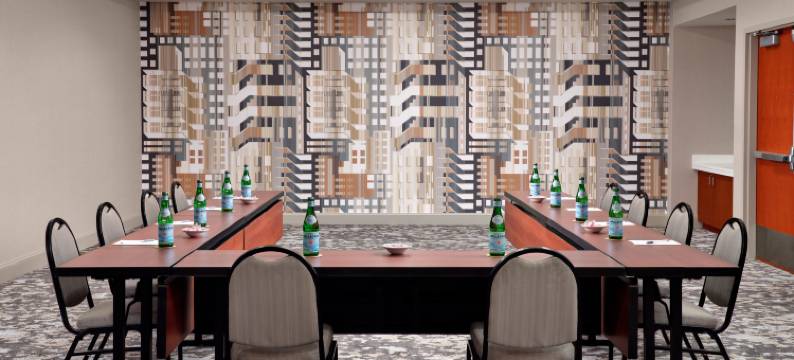 底特律市区希尔顿花园旅馆(Hilton Garden Inn Detroit Downtown)图片