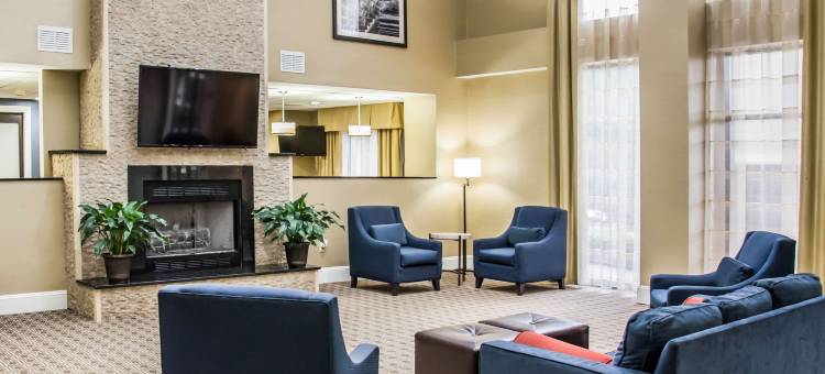 舒适套房酒店-大学科研园(Comfort Suites University - Research Park)图片