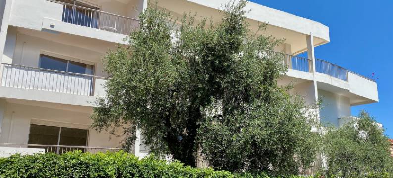 卡尔顿公寓(Résidence Carlton - Rénovée Avec Piscine)图片