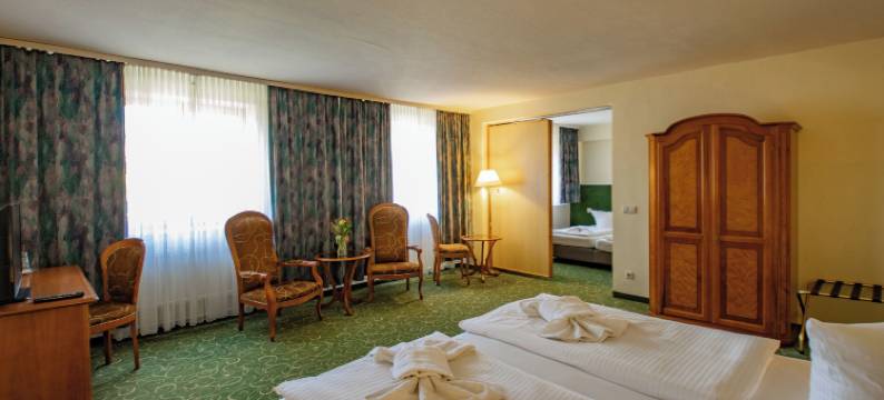 弗列柏格霍赫恩泽格比格斯酒店(Erzgebirgshotel Freiberger Höhe)图片