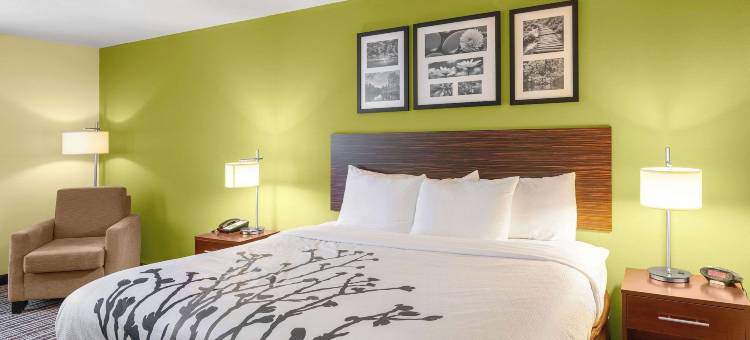安眠套房酒店-普安特港(Sleep Inn & Suites Harbour Pointe)图片