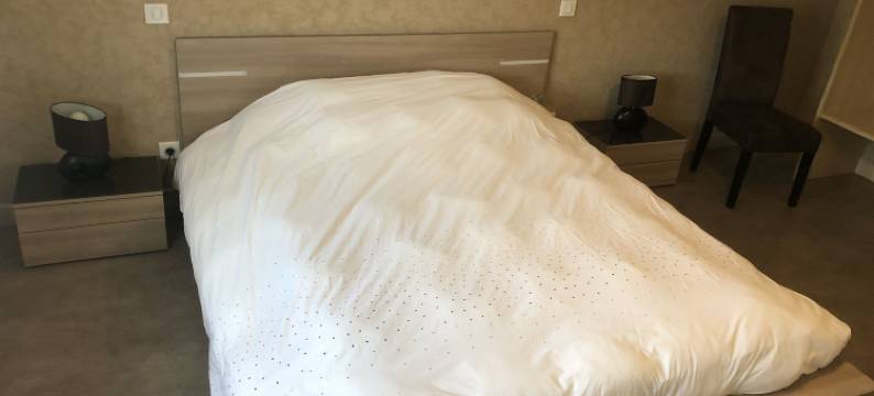 拉科隆贝尔酒店(Maison d'hôtes la Colombelle)图片