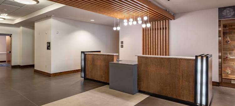 达拉斯农民希尔顿逸林酒店(DoubleTree by Hilton Dallas - Farmers Branch)图片