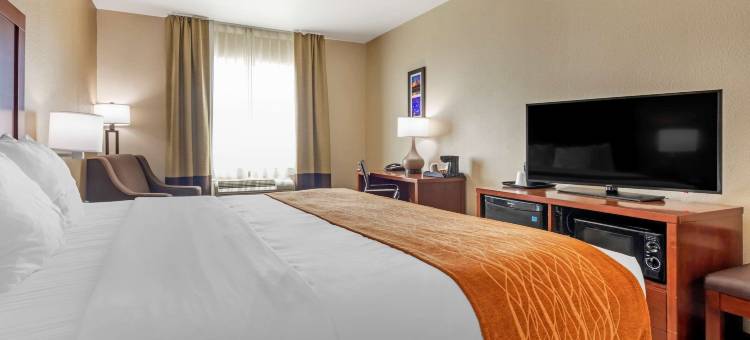 舒适酒店-近UNT(Comfort Inn Near UNT)图片