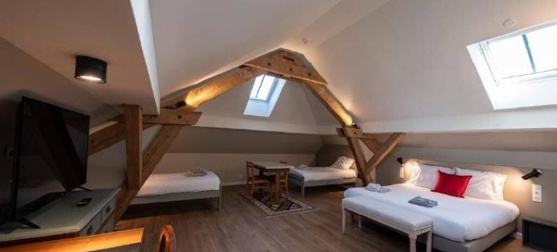 圣卢普领域酒店(Hotel du Domaine Saint Loup)图片