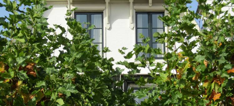 赫伯格·维尔格勒根酒店(Herberg Welgelegen)图片