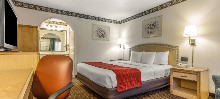 舒适酒店-帕洛阿尔托(Comfort Inn Palo Alto)图片