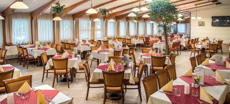 赫维兹宫殿酒店(Palace Hotel Hévíz)图片