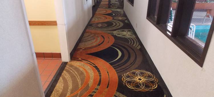 凯艺套房酒店(Quality Inn & Suites)图片