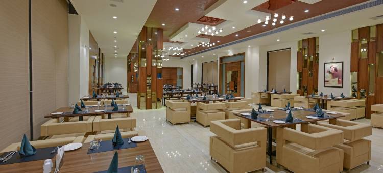 玛鲁迪南丹大酒店(The Maruti Nandan Grand)图片