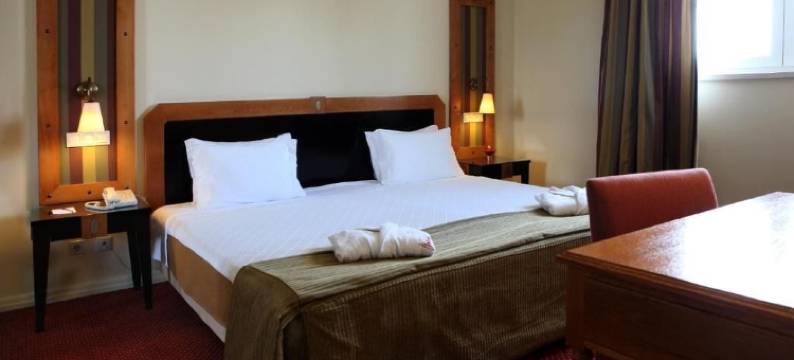 库里亚托马斯酒店(Hotel Termas da Curia)图片